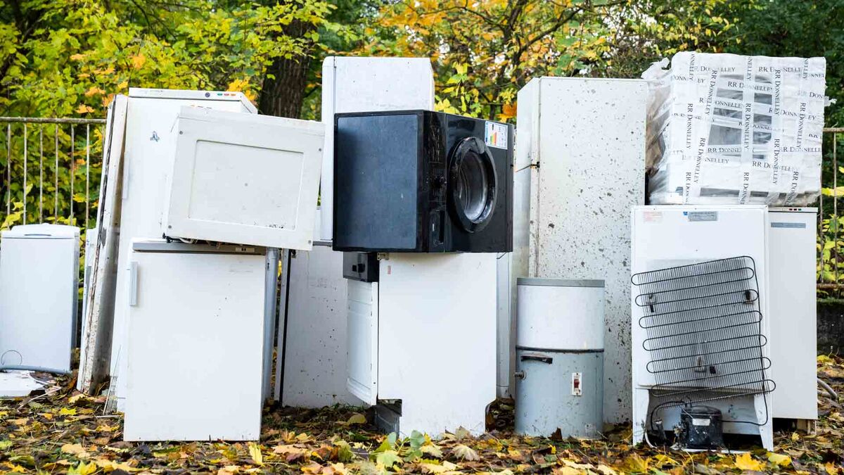 Zużyte urządzenia AGD są ustawione obok siebie na zewnątrz. Wśród sprzętów znajdują się lodówki, pralki, zmywarki oraz inne duże urządzenia przeznaczone do utylizacji. W tle widoczne są metalowe ogrodzenie, drzewa i zielono-żółte liście.